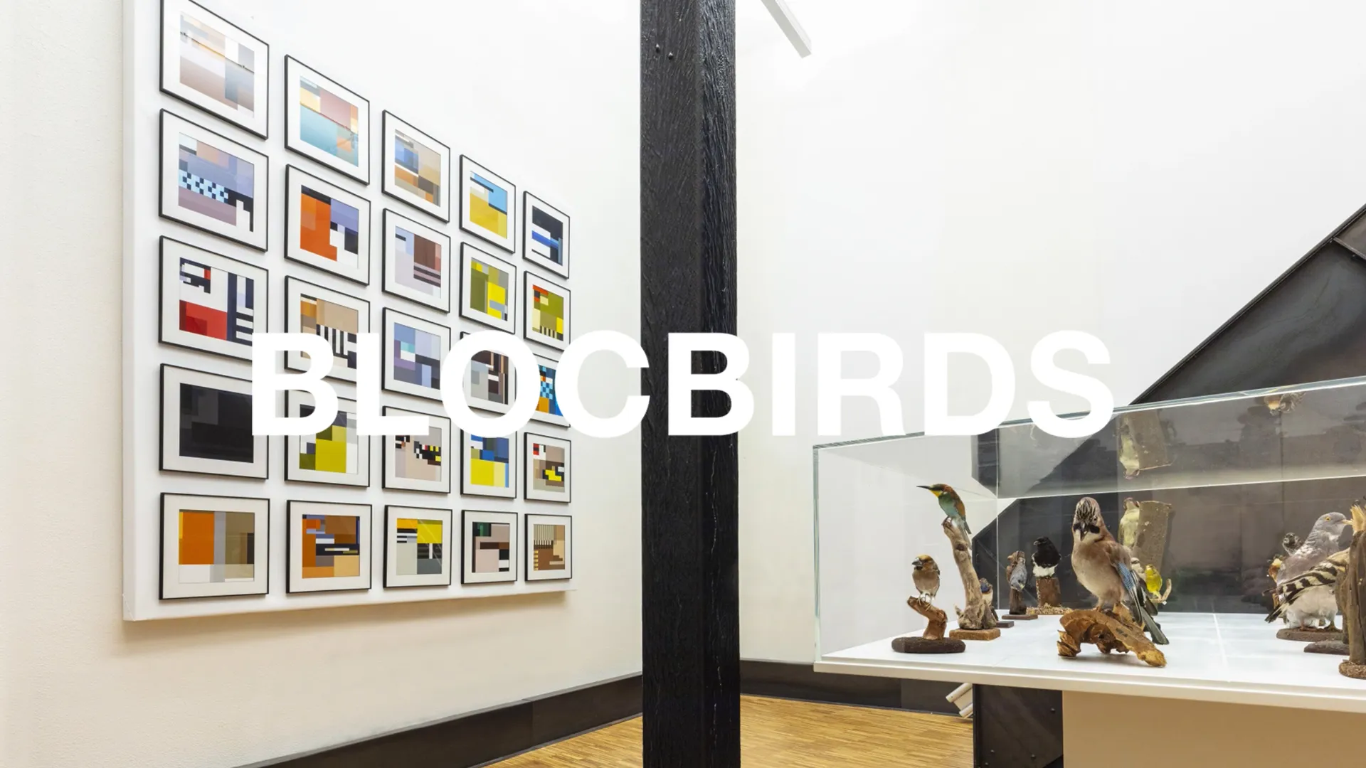 Blocbirds – Bedrijfsvideo