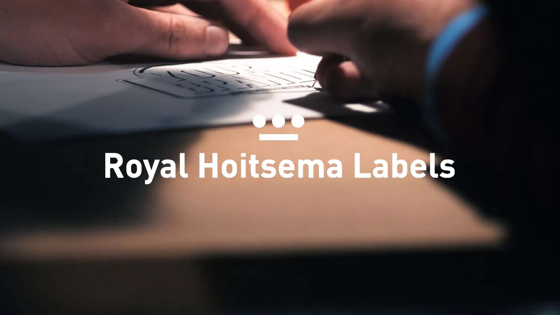 Royal Hoitsema – Bedrijfsvideo