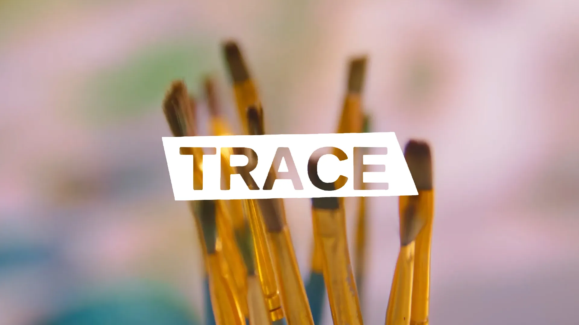 Werken met Trace – Bedrijfsvideo